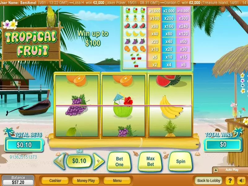 Tropical Fruit Fun Slot Game made by NeoGames with 3 Reel and 1 Line