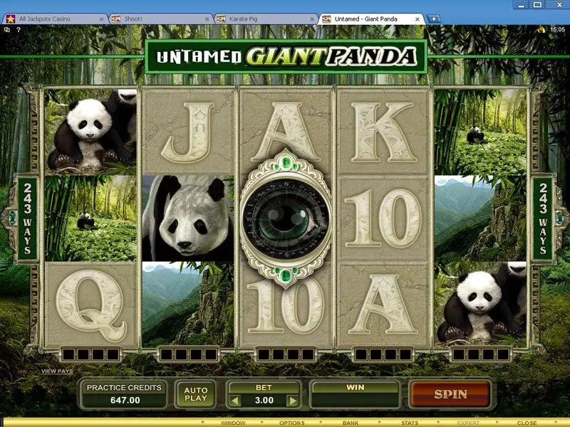 Untamed - Giant Panda Fun Slot Game made by Microgaming with 5 Reel and 243 Line