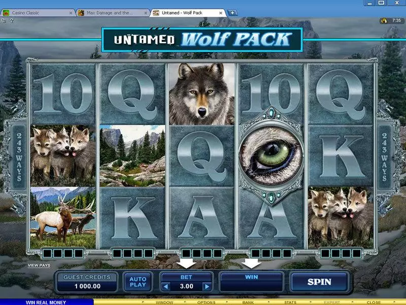 Untamed - Wolf Pack Fun Slot Game made by Microgaming with 5 Reel and 243 Line