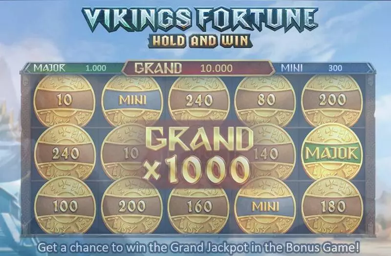 Vikings Fortune: Hold and Win Fun Slot Game made by Playson with 5 Reel and 25 Line