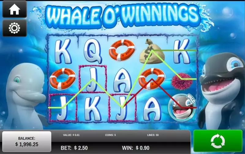 Whale O'Winnings Fun Slot Game made by Rival with 5 Reel and 50 Line