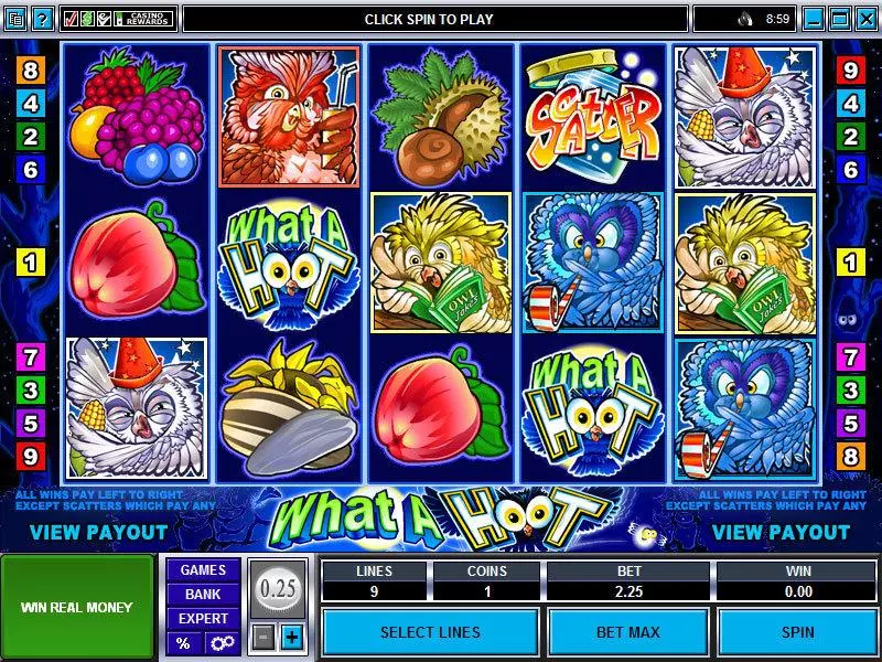 What a Hoot Fun Slot Game made by Microgaming with 5 Reel and 9 Line