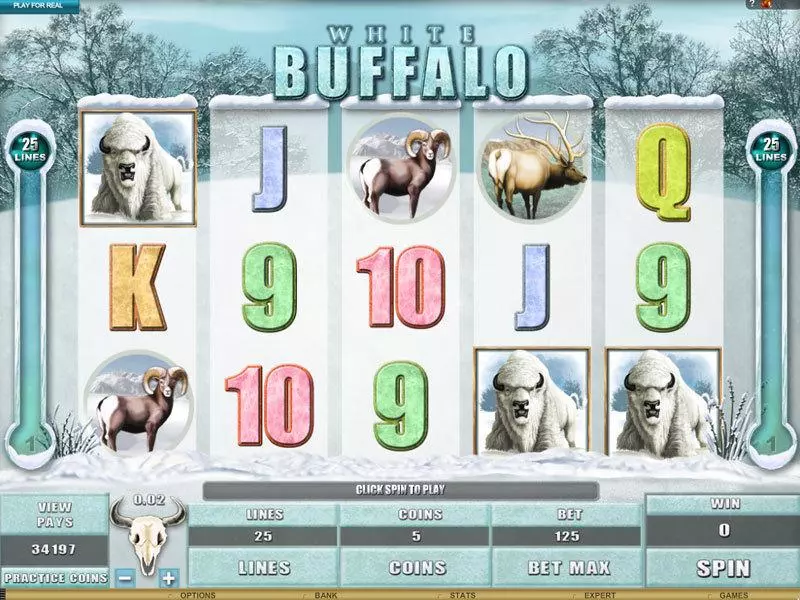 White Buffalo Fun Slot Game made by Genesis with 5 Reel and 25 Line