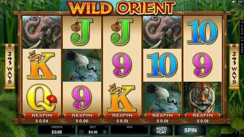 Wild Orient Fun Slot Game made by Microgaming with 5 Reel and 243 Line