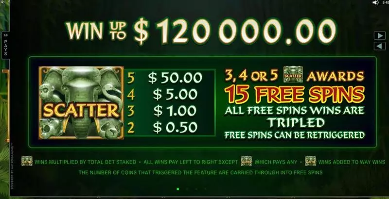 Wild Orient Fun Slot Game made by Microgaming with 5 Reel and 243 Line