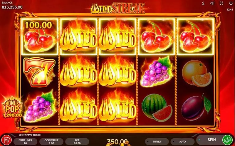 Wild Streak Fun Slot Game made by Endorphina with 5 Reel and 10 Line